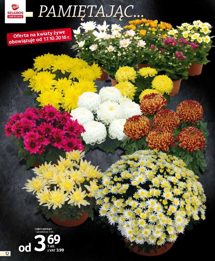 Gazetka promocyjna Selgros str. 12