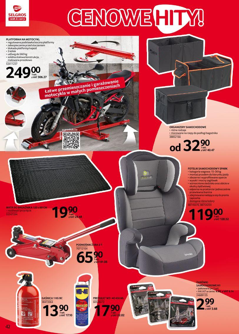 Gazetka promocyjna Selgros str. 42