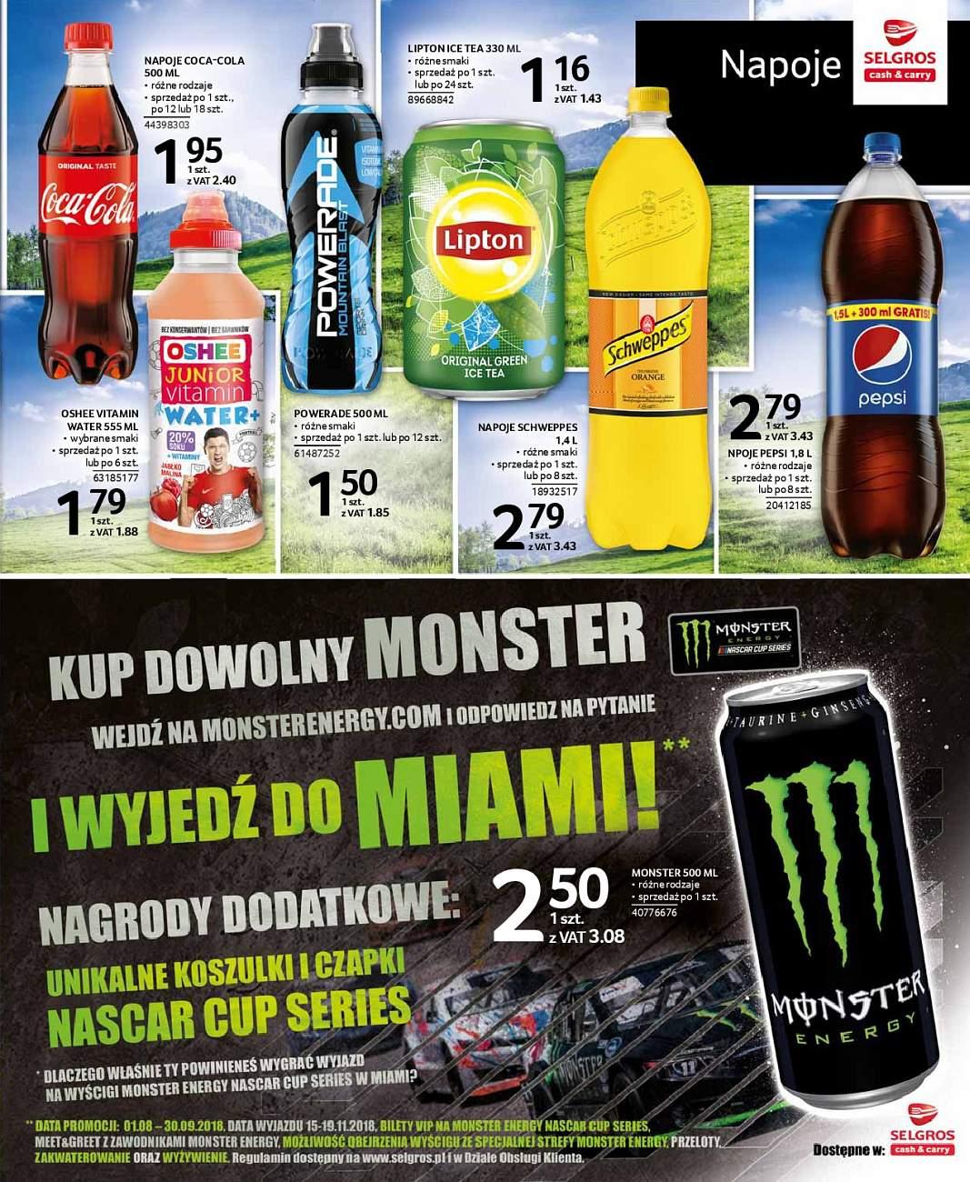 Gazetka promocyjna Selgros str. 17