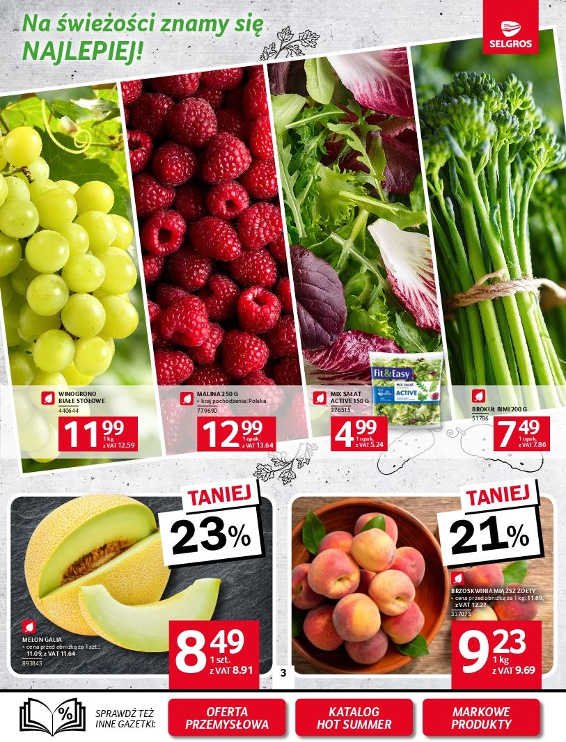 Gazetka promocyjna Selgros str. 3